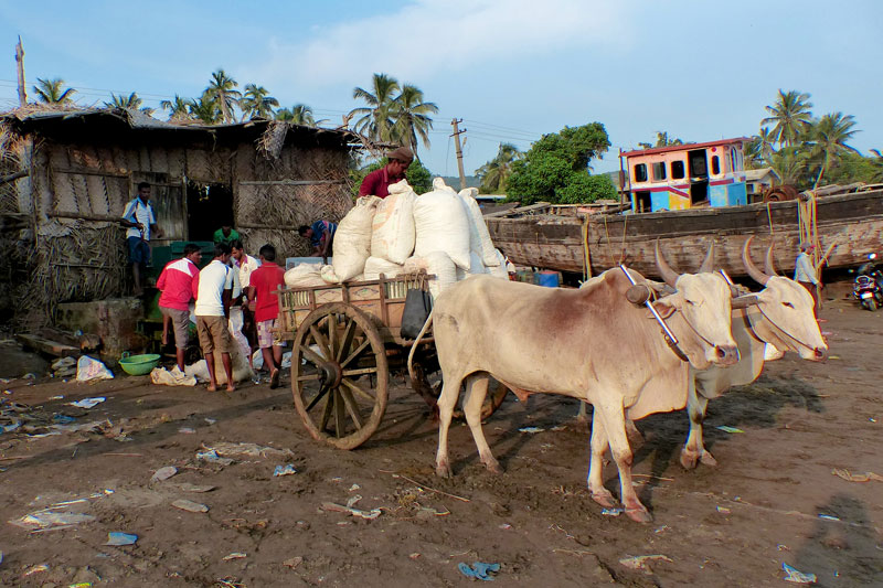 India
